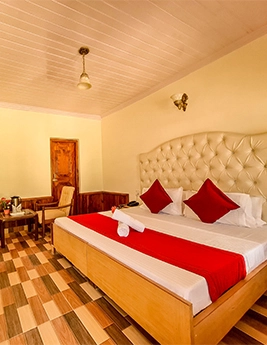 2-Star-Hotel-In-Manali-Hotel-Pine-Grove-Deluxe-Room
