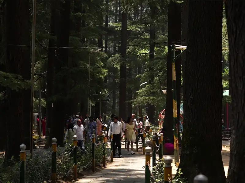 Van Vihar Manali
