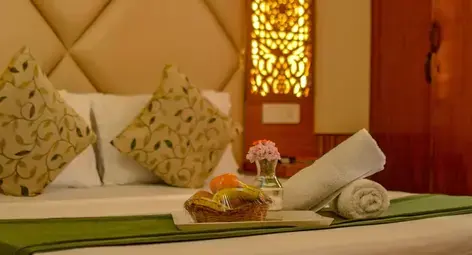 Best Hotels in Manali