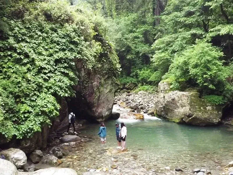 Tirthan Jibhi Tour Package