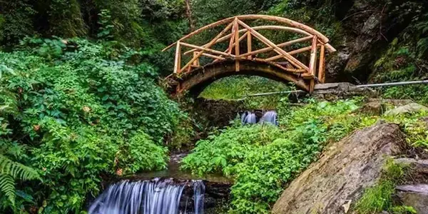 Forest trails, rivers, and scenic places to visit in Jibhi