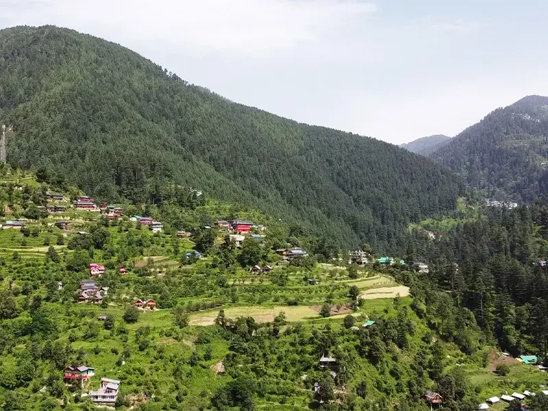 Jibhi