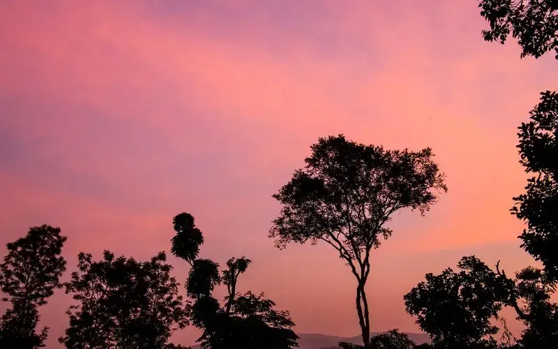 Karnataka’s historic temples, green hills, and scenic landscapes under clear skies.