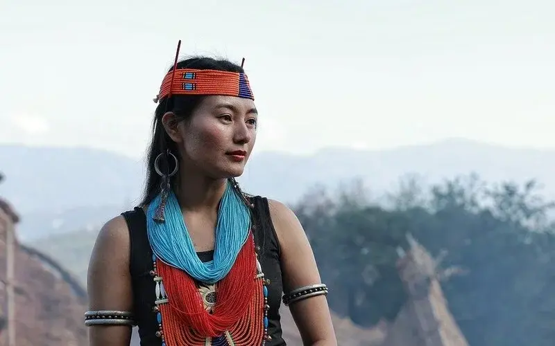 Scenic hills of Nagaland with traditional village huts and lush green landscapes under clear skies.